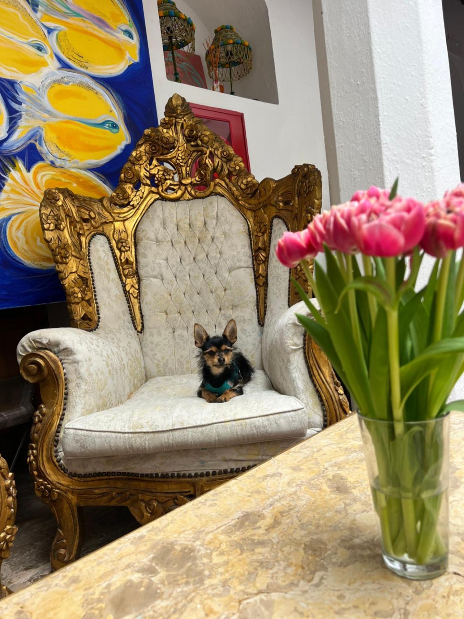 El Beaterio Apartments Tarifa Dış mekan fotoğraf